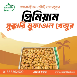 সুক্কারি মুফাত্তল খেজুর