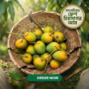 সাতক্ষীরার আসল হিমসাগর আম — ফর্মালিনমুক্ত, সরাসরি চাষির কাছ থেকে